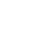 cropped-linsteezlogo-1.png